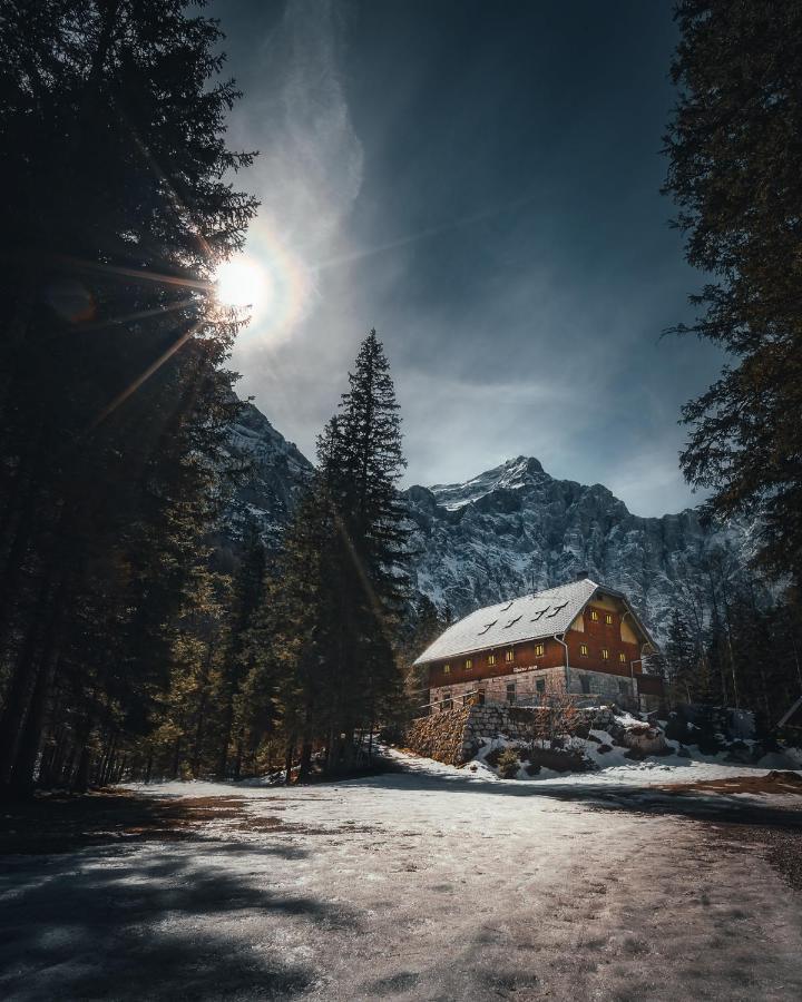 Apartma Borovc Mojstrana Exterior foto
