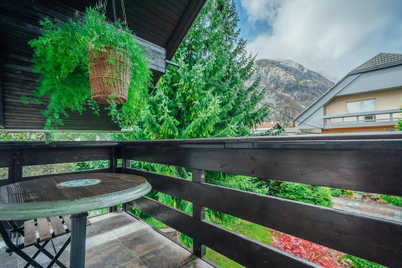 Apartma Borovc Mojstrana Exterior foto