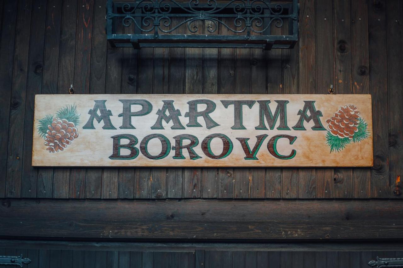 Apartma Borovc Mojstrana Exterior foto